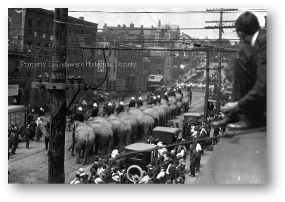 Description: http://www.hsd.org/HistoricReprod/Photographs/People/PH_P_0004_circus%20parade_1918.gif